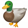 FC_Duck88